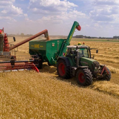 Gasolio agricolo